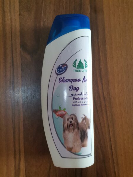 Shampooing pour Chiens