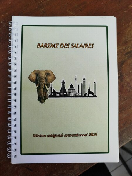 Barème des salaires minima categoriels