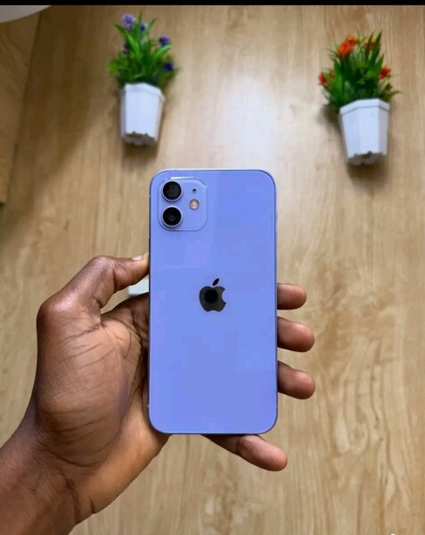 iPhone 12 Bleu