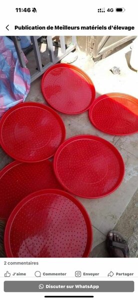 Mangeoire démarrage (poussin)