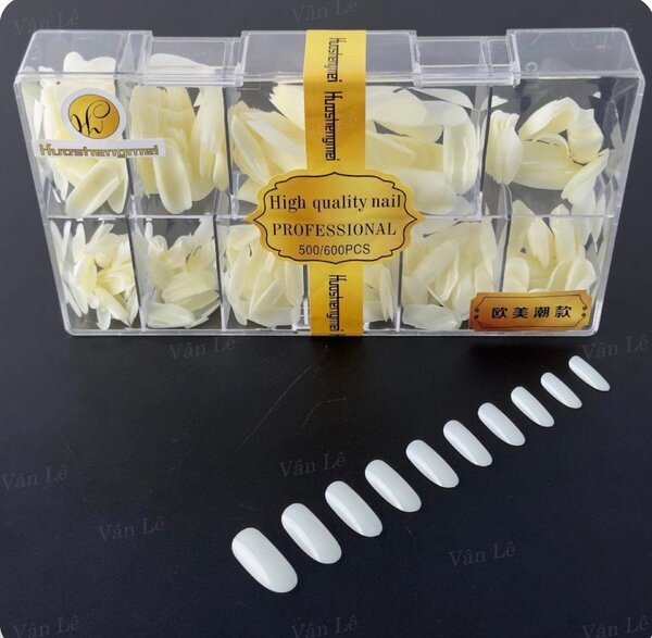 Kit d'ongles à pointe professionnelle