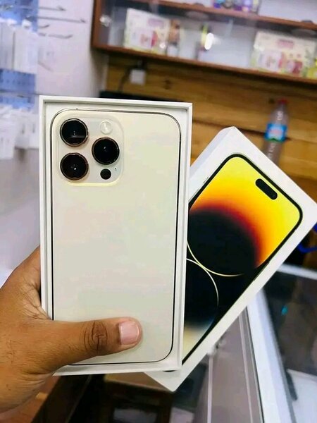 Smartphone haut de gamme 256Go