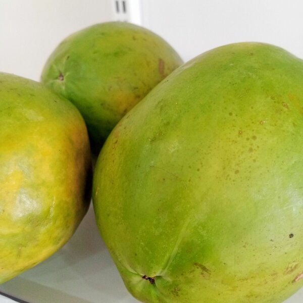 Papayes 500 f / kg