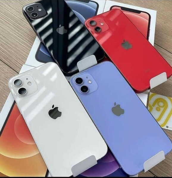 iPhone 12 couleurs vives