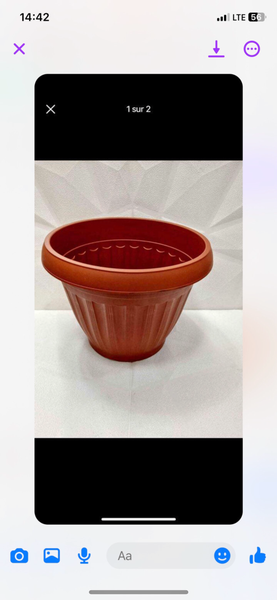 Pot pour les plantes