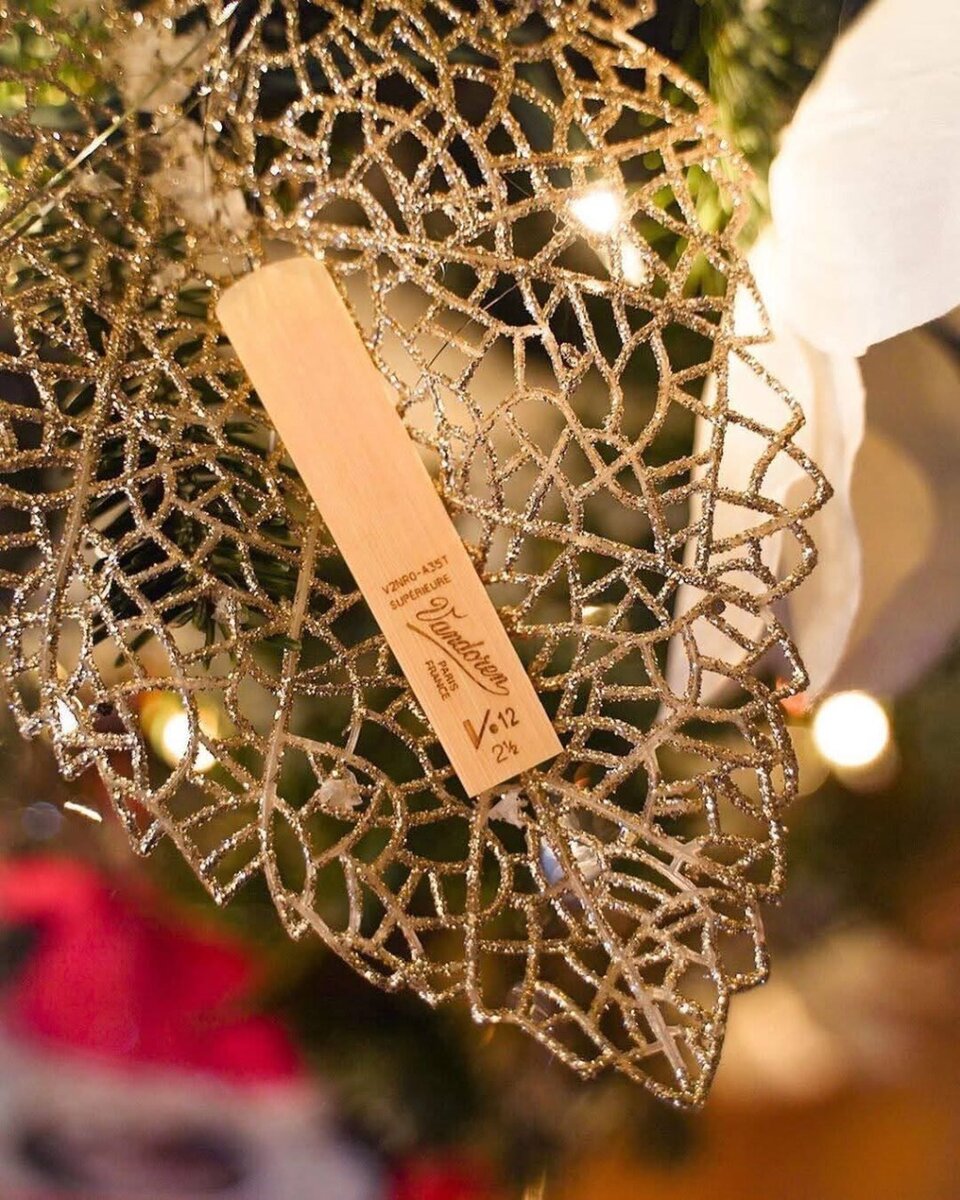 Anches Saxophone Alto Vandoren