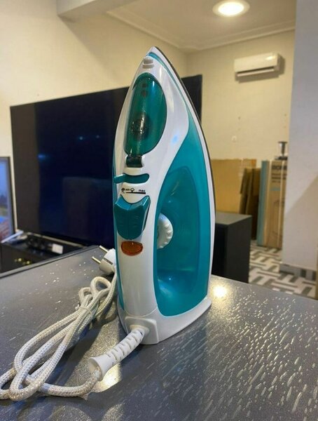 Electric steam iron