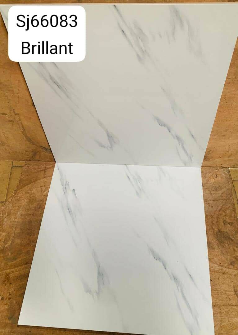 Carrelage Marbre Brillant