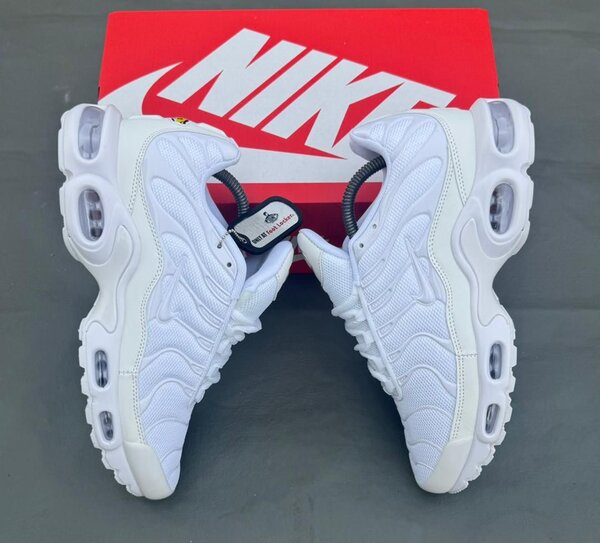 Nike Air Max Plus Blanc