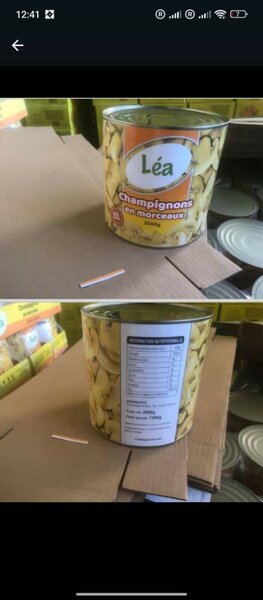 Champignons Léa en morceaux