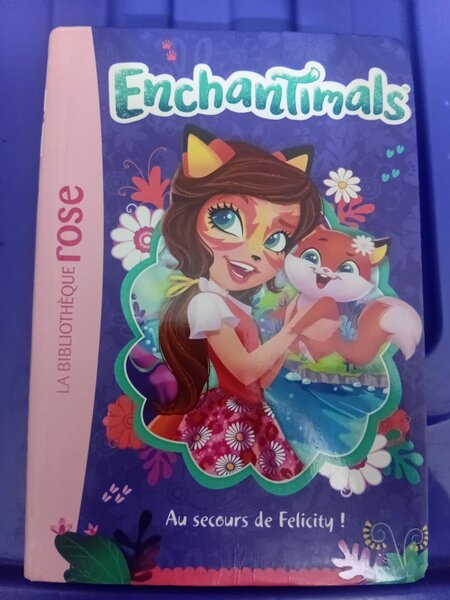 Livre Enchantimals Felicity
