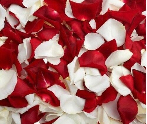 300 Pétales Artificielles