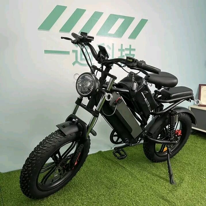 Vélo électrique tout-terrain puissant