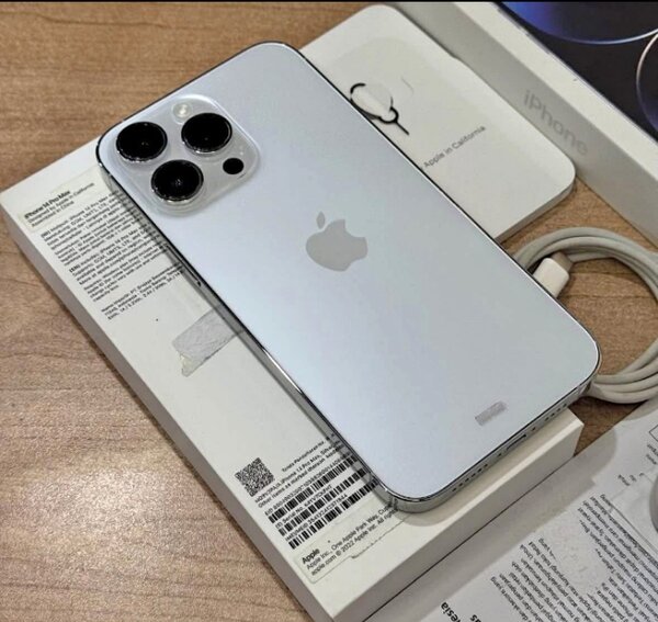 iPhone 14 Pro Max 256GB Argent