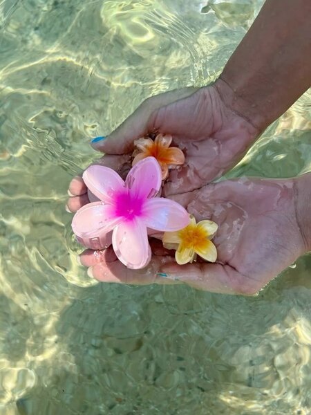 Épingles à cheveux fleurs tropicales