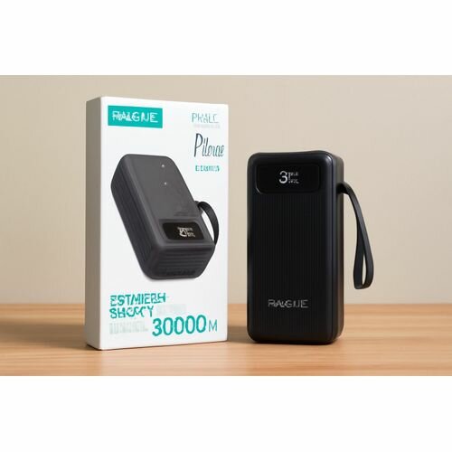 Chargeur Portable 30000mAh