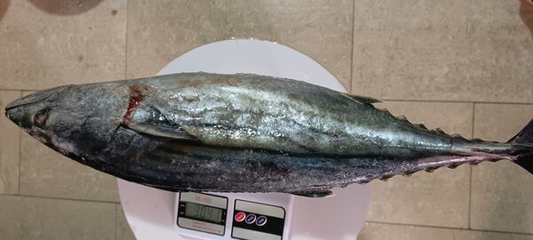 Poisson Frais Entier