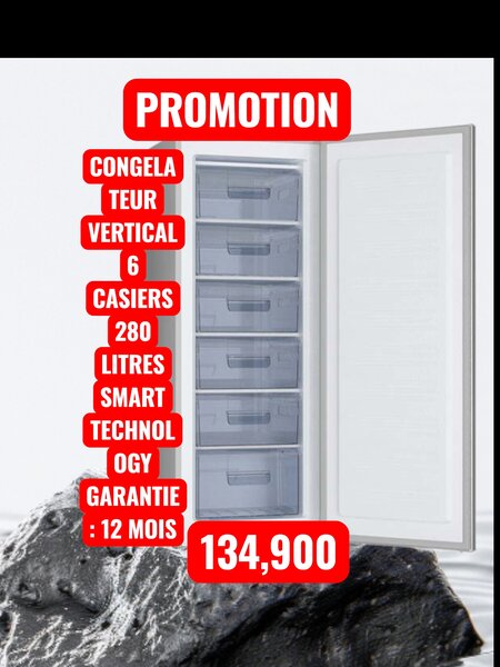Congélateur vertical 280L