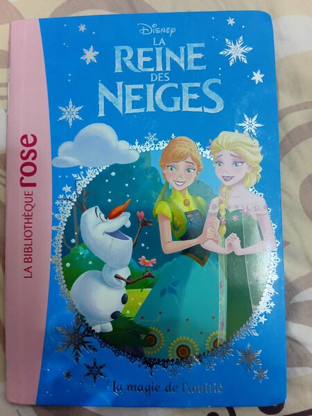 Livre Disney La Reine des Neiges