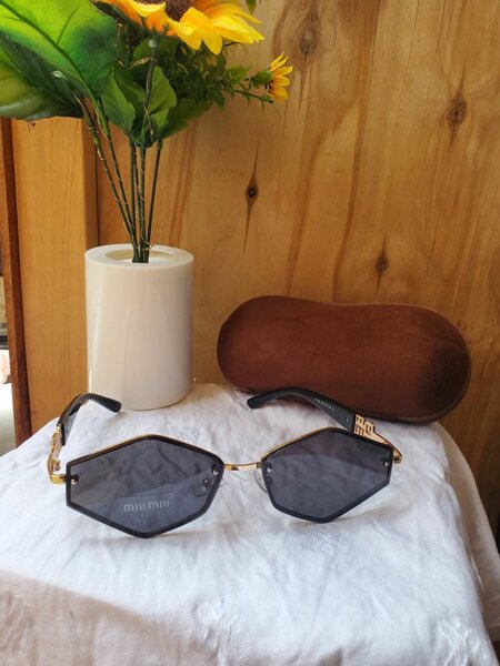 Lunettes de soleil élégantes