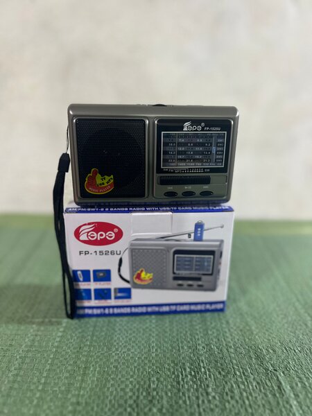 Mini Radio Rétro AM/FM USB/TF