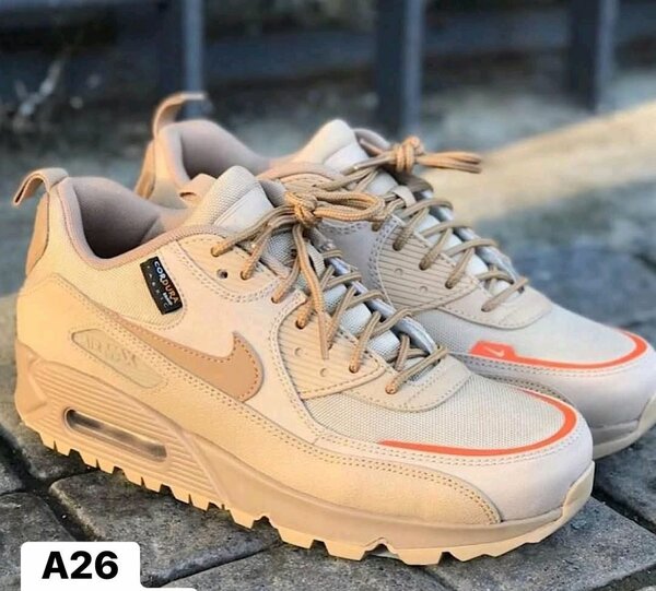 Baskets Air Max modernes