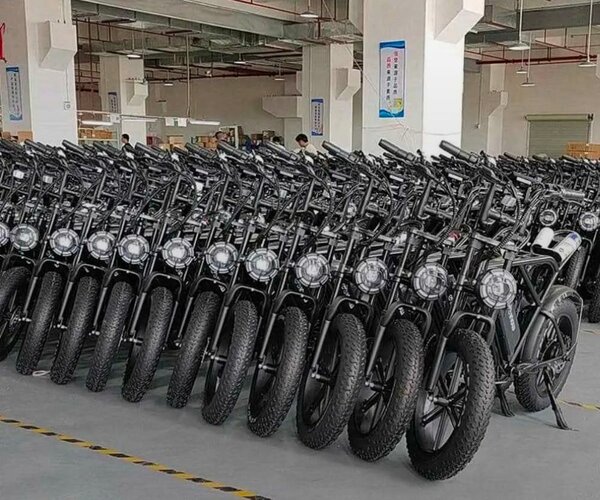 Vélos électriques robustes