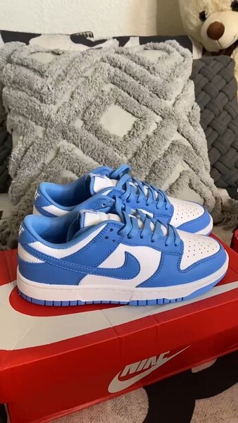 Nike Dunk Low Sneakers