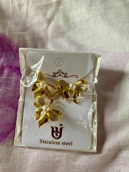 Collier et Boucles en Acier Inox