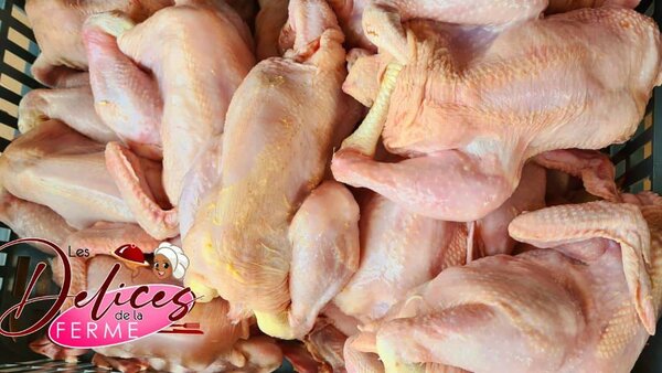 Poulets de chair local