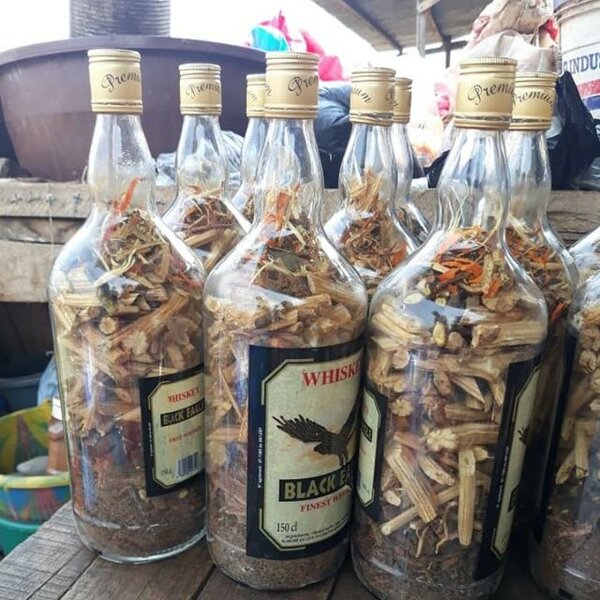 Racine Thérapeutique