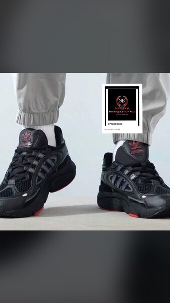 Basket adidas  authentique avec sa boîte