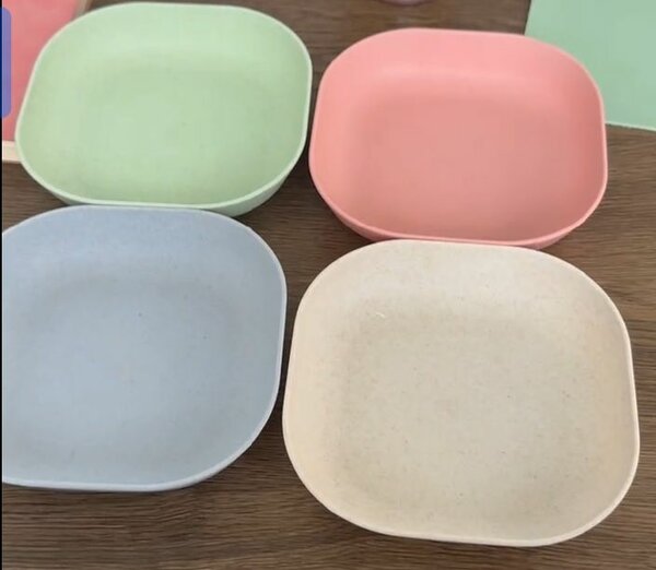 10 Assiettes plastiques 3500F