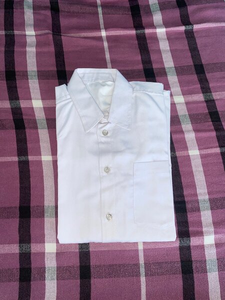 Chemise Blanche Classique Homme