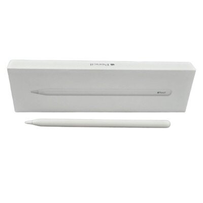 Stylet iPad Original Usb C