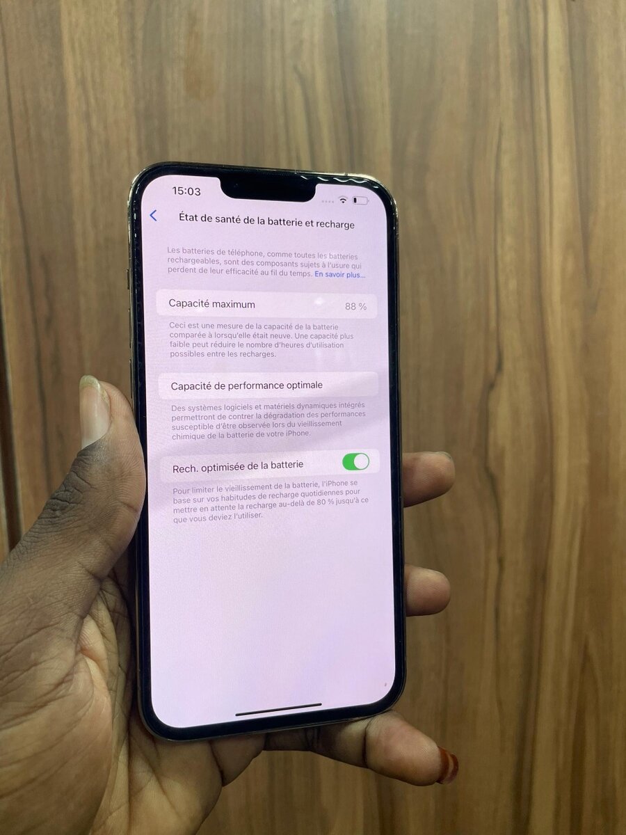 iPhone 13 PRO MAX 256g