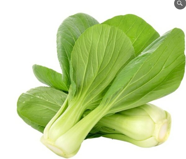 Pak Choi Seeds