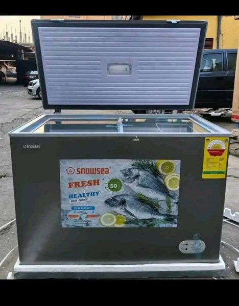 Snowsea freezer 316  270 liter