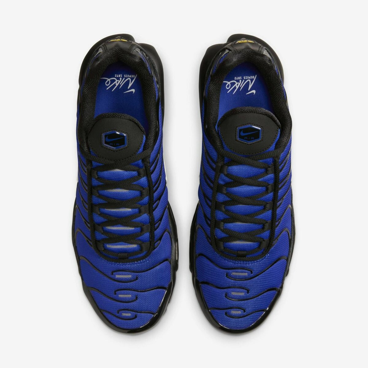 Nike Air Max Plus Sneakers