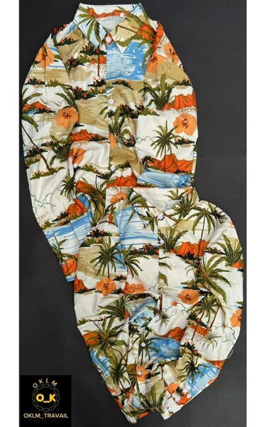 Chemises Vintage Imprimées