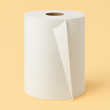 Essuie-tout absorbant