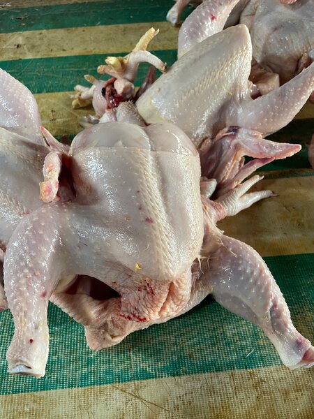 Poulet Frais Prêt à Cuisiner