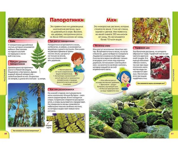 Большая детская энциклопедия. Лучший подарок школьнику. 448