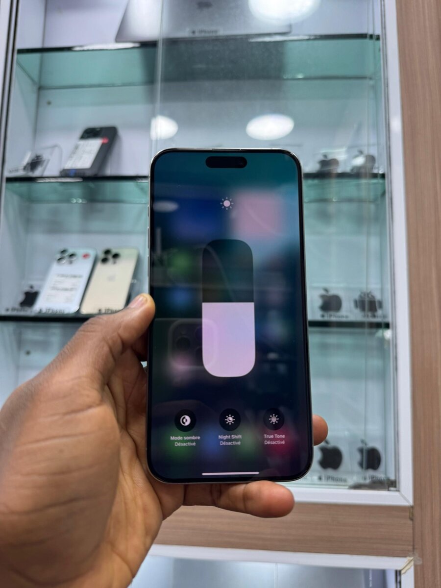 iPhone 15 Pro Max 256GB Silver