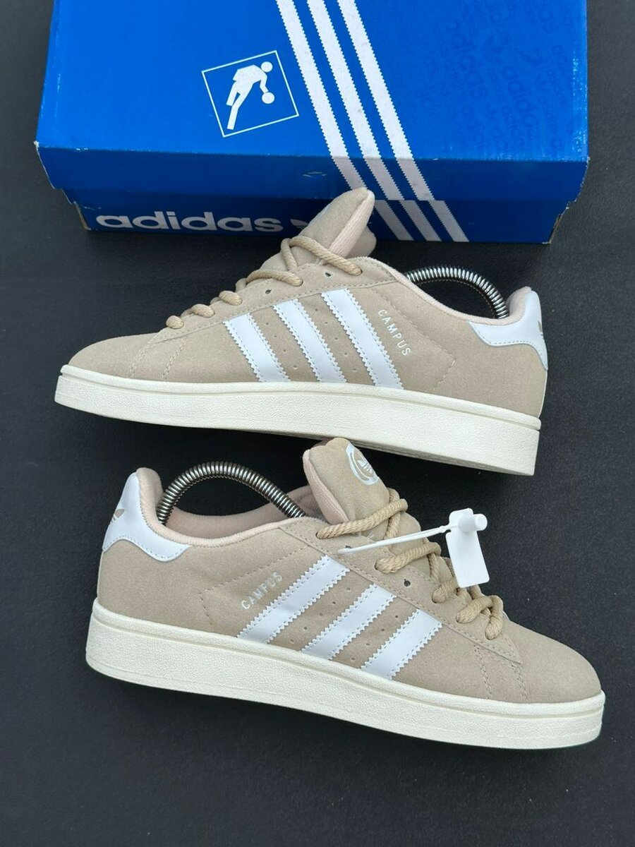 Adidas campus beige Blanc gros lacet