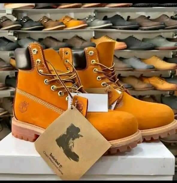 Timberland homme