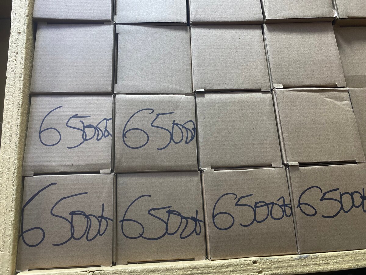 Projecteur LED extérieur 6500K