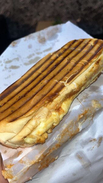 Panini Grillé Délicieux