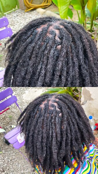 100tiges de locks naturels