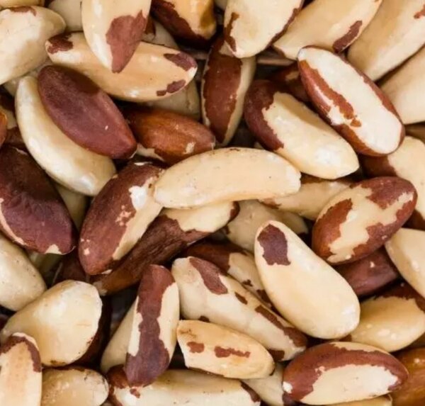 Noix Variété Premium